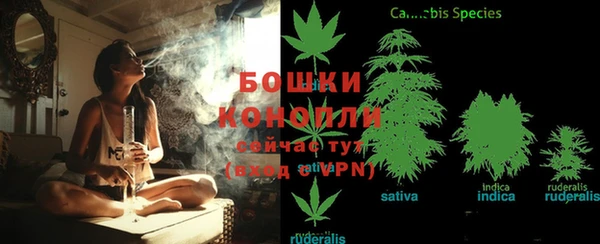экстази Богданович