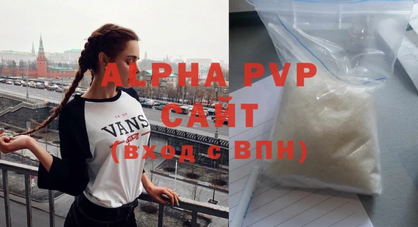 индика Бугульма