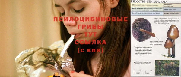 мескалин Белокуриха